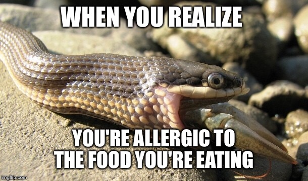 WHEN YOU REALIZE; YOU'RE ALLERGIC TO THE FOOD YOU'RE EATING | image tagged in snake,snakes,snakes on a plane,allergies | made w/ Imgflip meme maker