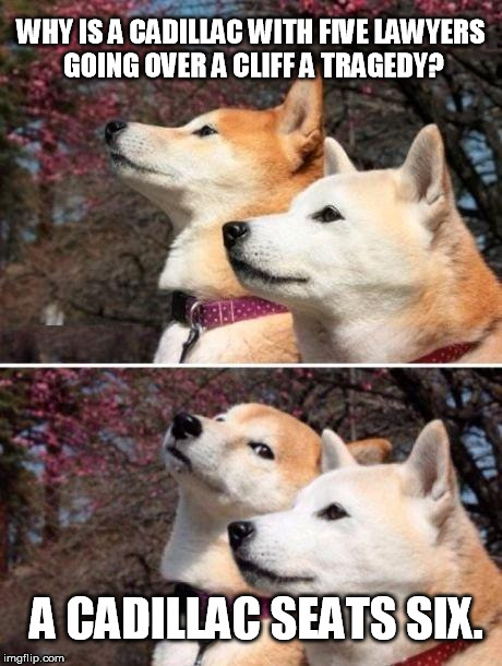 shiba bad joke |  WHY IS A CADILLAC WITH FIVE LAWYERS GOING OVER A CLIFF A TRAGEDY? A CADILLAC SEATS SIX. | image tagged in shiba bad joke | made w/ Imgflip meme maker