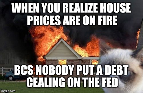 Burn Kitty | WHEN YOU REALIZE HOUSE PRICES ARE ON FIRE; BCS NOBODY PUT A DEBT CEALING ON THE FED | image tagged in memes,burn kitty,grumpy cat | made w/ Imgflip meme maker