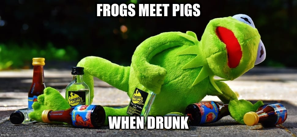 FROGS MEET PIGS WHEN DRUNK | made w/ Imgflip meme maker