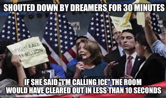 Ice, Ice baby :) | SHOUTED DOWN BY DREAMERS FOR 30 MINUTES; IF SHE SAID "I'M CALLING ICE" THE ROOM WOULD HAVE CLEARED OUT IN LESS THAN 10 SECONDS | image tagged in memes | made w/ Imgflip meme maker