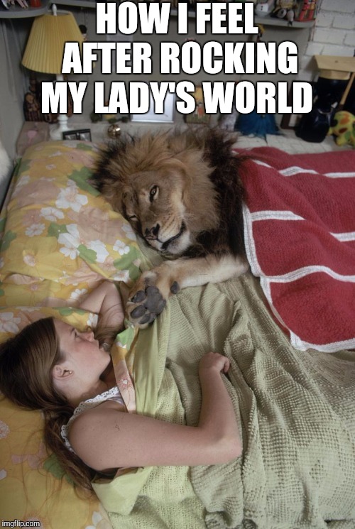 It feels good, and I ain't lion  | HOW I FEEL AFTER ROCKING MY LADY'S WORLD | image tagged in lion,men and women,jbmemegeek,funny memes,relationships,marriage | made w/ Imgflip meme maker