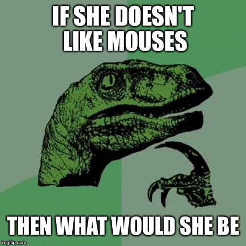 Philosoraptor Meme | IF SHE DOESN'T LIKE MOUSES THEN WHAT WOULD SHE BE | image tagged in memes,philosoraptor | made w/ Imgflip meme maker