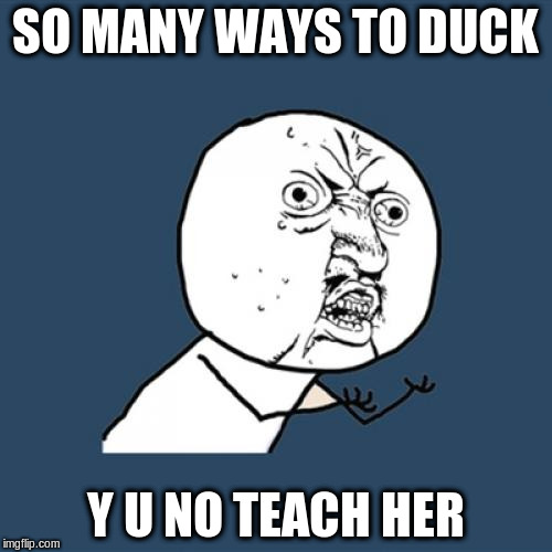 Y U No Meme | SO MANY WAYS TO DUCK Y U NO TEACH HER | image tagged in memes,y u no | made w/ Imgflip meme maker