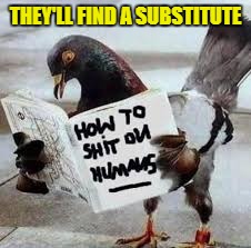 THEY'LL FIND A SUBSTITUTE | made w/ Imgflip meme maker
