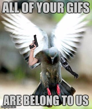 Pigeon Memes Gifs Imgflip - anthroblox imgflip