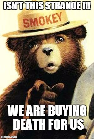 smokey the bear | ISN'T THIS STRANGE !!! WE ARE BUYING DEATH FOR US | image tagged in smokey the bear | made w/ Imgflip meme maker