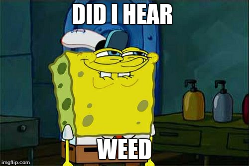 Don't You Squidward | DID I HEAR; WEED | image tagged in memes,dont you squidward | made w/ Imgflip meme maker