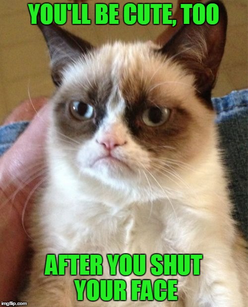 Grumpy Cat Meme | YOU'LL BE CUTE, TOO AFTER YOU SHUT YOUR FACE | image tagged in memes,grumpy cat | made w/ Imgflip meme maker