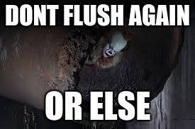 it | DONT FLUSH AGAIN; OR ELSE | image tagged in this is where i'd put my trophy if i had one | made w/ Imgflip meme maker