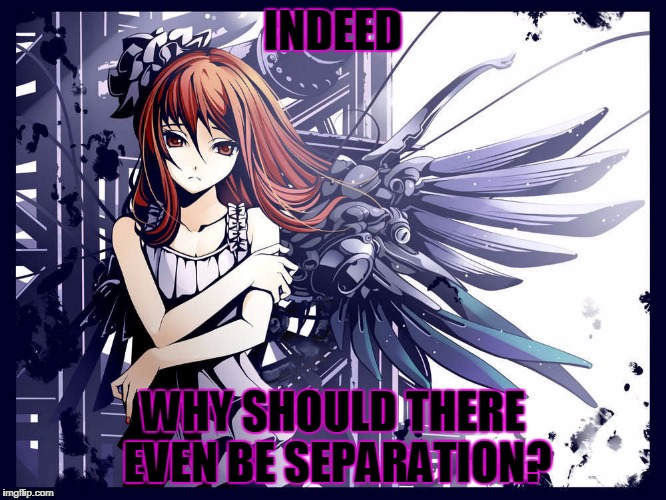INDEED WHY SHOULD THERE EVEN BE SEPARATION? | made w/ Imgflip meme maker