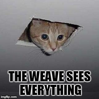 Ceiling Cat Meme | THE WEAVE SEES EVERYTHING | image tagged in memes,ceiling cat | made w/ Imgflip meme maker