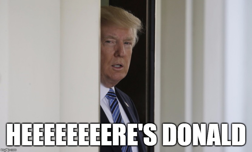 Here's Donald | HEEEEEEEERE'S DONALD | image tagged in heres donald,donald trump,funny memes | made w/ Imgflip meme maker