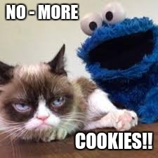 NO - MORE; COOKIES!! | image tagged in funny memes | made w/ Imgflip meme maker