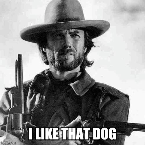 I LIKE THAT DOG | made w/ Imgflip meme maker