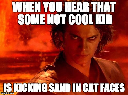 You Underestimate My Power | WHEN YOU HEAR THAT SOME NOT COOL KID; IS KICKING SAND IN CAT FACES | image tagged in memes,you underestimate my power | made w/ Imgflip meme maker