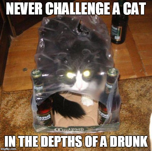 NEVER CHALLENGE A CAT IN THE DEPTHS OF A DRUNK | made w/ Imgflip meme maker