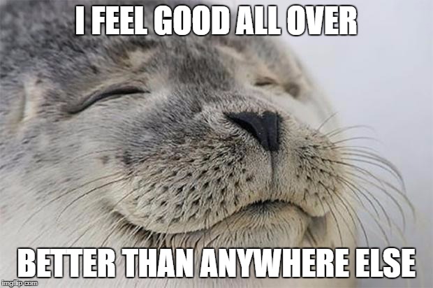 Satisfied Seal Meme | I FEEL GOOD ALL OVER; BETTER THAN ANYWHERE ELSE | image tagged in memes,satisfied seal | made w/ Imgflip meme maker