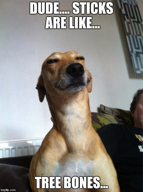 DUDE.... STICKS ARE LIKE... TREE BONES... | image tagged in smoke weed everyday,weed | made w/ Imgflip meme maker