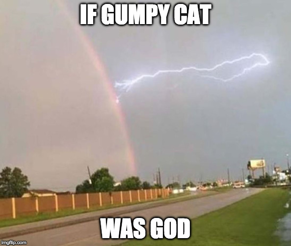 On the first day he created sadness. | IF GUMPY CAT; WAS GOD | image tagged in rainbow lighting,god,rainbow,grumpy cat,iwanttobebacon | made w/ Imgflip meme maker