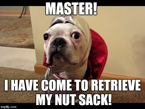 MASTER! I HAVE COME TO RETRIEVE MY NUT SACK! | image tagged in where is my nut sack | made w/ Imgflip meme maker