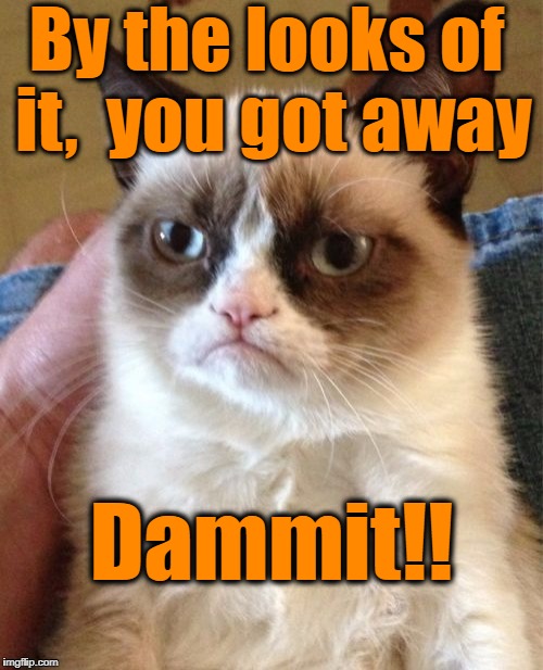 Grumpy Cat Meme | By the looks of it,  you got away Dammit!! | image tagged in memes,grumpy cat | made w/ Imgflip meme maker