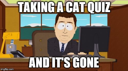 internet quiz fail
 | TAKING A CAT QUIZ; AND IT'S GONE | image tagged in memes,aaaaand its gone,recover web page,denied,unsatisfied,i coulda been a contender | made w/ Imgflip meme maker