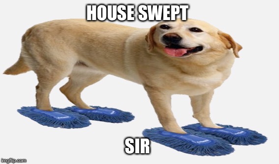 Sweeping the house - Imgflip