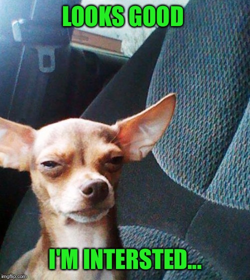 Stoner dog | LOOKS GOOD I'M INTERSTED... | image tagged in stoner dog | made w/ Imgflip meme maker