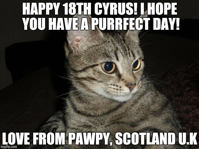 HAPPY 18TH CYRUS! I HOPE YOU HAVE A PURRFECT DAY! LOVE FROM PAWPY, SCOTLAND U.K | made w/ Imgflip meme maker