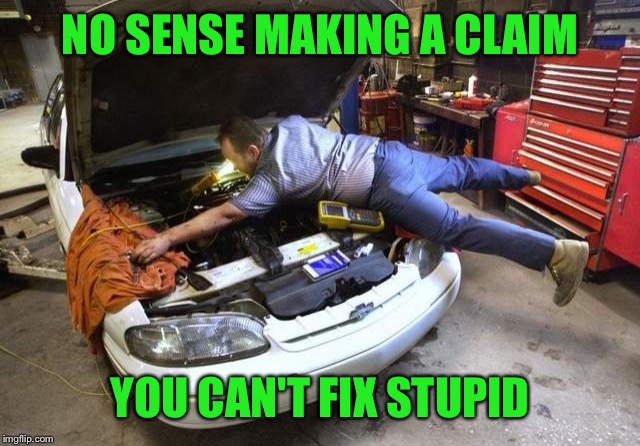 NO SENSE MAKING A CLAIM YOU CAN'T FIX STUPID | made w/ Imgflip meme maker