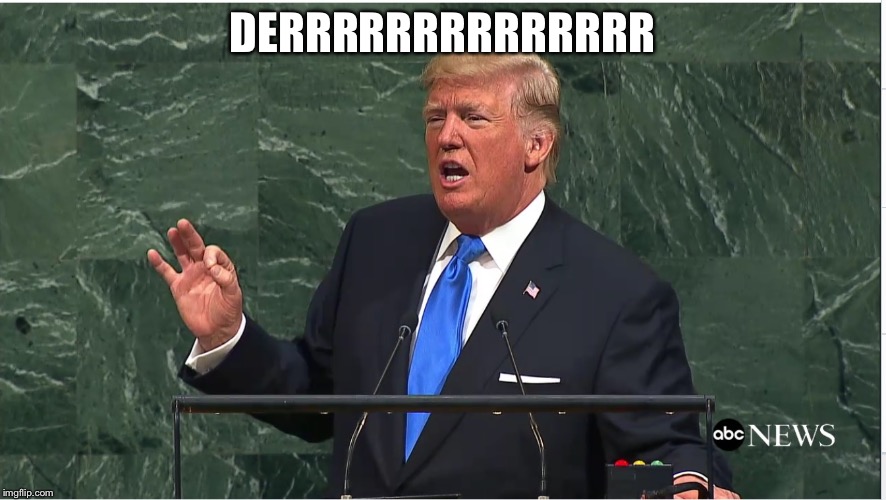 Trump a dumb idiot | DERRRRRRRRRRRRRR | image tagged in memes | made w/ Imgflip meme maker