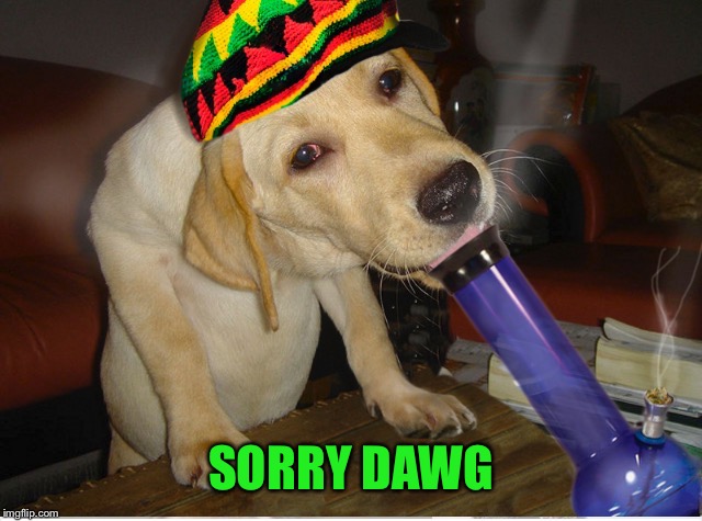 SORRY DAWG | made w/ Imgflip meme maker