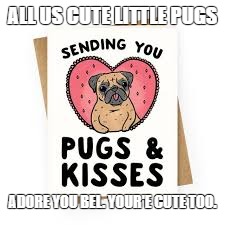 ALL US CUTE LITTLE PUGS; ADORE YOU BEL. YOUR'E CUTE TOO. | image tagged in wt yates | made w/ Imgflip meme maker
