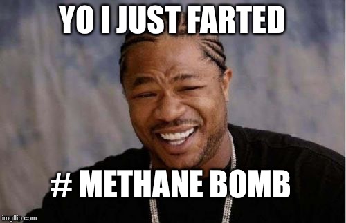 Yo Dawg Heard You | YO I JUST FARTED; # METHANE BOMB | image tagged in memes,yo dawg heard you | made w/ Imgflip meme maker