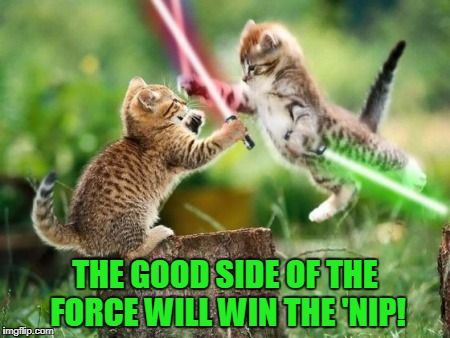 THE GOOD SIDE OF THE FORCE WILL WIN THE 'NIP! | made w/ Imgflip meme maker