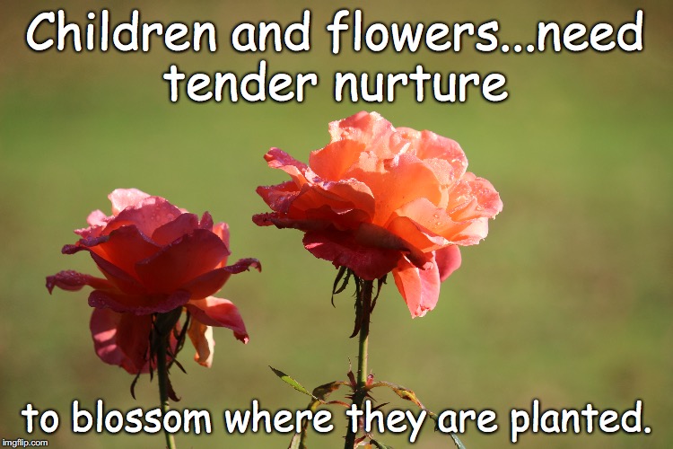 nurture your children | Children and flowers...need tender nurture; to blossom where they are planted. | image tagged in children,parenting,nurture | made w/ Imgflip meme maker