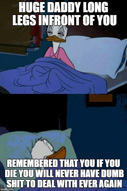 sleepy donald duck in bed | HUGE DADDY LONG LEGS INFRONT OF YOU; REMEMBERED THAT YOU IF YOU DIE YOU WILL NEVER HAVE DUMB SHIT TO DEAL WITH EVER AGAIN | image tagged in sleepy donald duck in bed | made w/ Imgflip meme maker