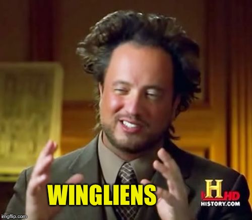 Ancient Aliens Meme | WINGLIENS | image tagged in memes,ancient aliens | made w/ Imgflip meme maker