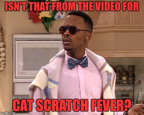 dj jazzy jeff | ISN'T THAT FROM THE VIDEO FOR CAT SCRATCH FEVER? | image tagged in dj jazzy jeff | made w/ Imgflip meme maker