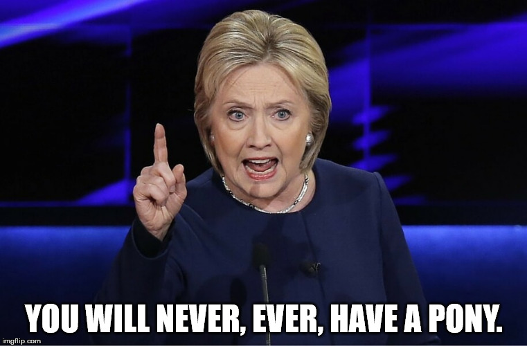 YOU WILL NEVER, EVER, HAVE A PONY. | image tagged in clinton,pony | made w/ Imgflip meme maker