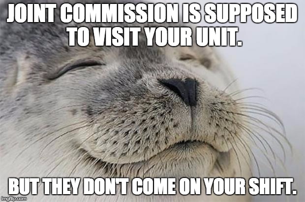 Satisfied Seal Meme | JOINT COMMISSION IS SUPPOSED TO VISIT YOUR UNIT. BUT THEY DON'T COME ON YOUR SHIFT. | image tagged in memes,satisfied seal | made w/ Imgflip meme maker