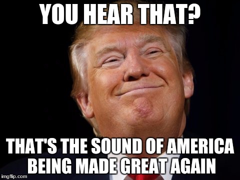Smug Trump | YOU HEAR THAT? THAT'S THE SOUND OF AMERICA BEING MADE GREAT AGAIN | image tagged in smug trump | made w/ Imgflip meme maker