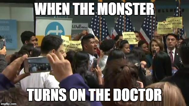 Well, well, well, it seems "Dreamers" are seeing Pelosi for what she really is | WHEN THE MONSTER; TURNS ON THE DOCTOR | image tagged in political meme,nancy pelosi,illegal immigration,immigration,liberals | made w/ Imgflip meme maker