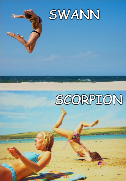Bikini Jump | SWANN; SCORPION | image tagged in bikini jump | made w/ Imgflip meme maker