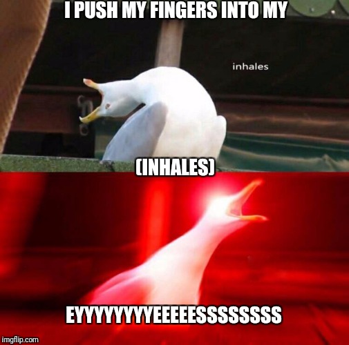 Duality Gull  | I PUSH MY FINGERS INTO MY; (INHALES); EYYYYYYYYEEEEESSSSSSSS | image tagged in inhaling seagull,slipknot | made w/ Imgflip meme maker