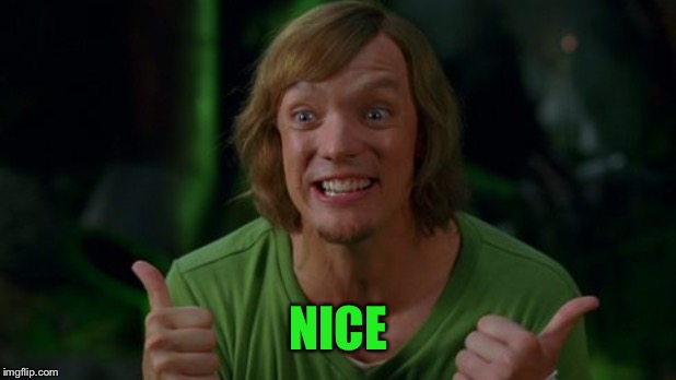 Shaggy 3 | NICE | image tagged in shaggy 3 | made w/ Imgflip meme maker