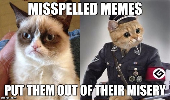MISSPELLED MEMES PUT THEM OUT OF THEIR MISERY | made w/ Imgflip meme maker