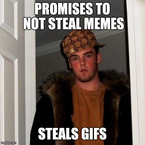 That's 123Guy levels of bull crap. | PROMISES TO NOT STEAL MEMES; STEALS GIFS | image tagged in memes,scumbag steve | made w/ Imgflip meme maker