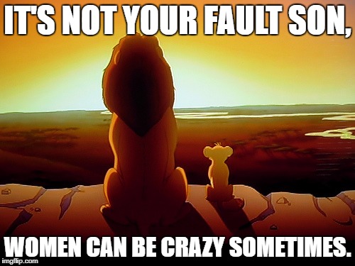 Lion King Meme | IT'S NOT YOUR FAULT SON, WOMEN CAN BE CRAZY SOMETIMES. | image tagged in memes,lion king | made w/ Imgflip meme maker